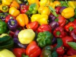 My Vegetable Recipes