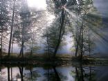 The Tennessee country