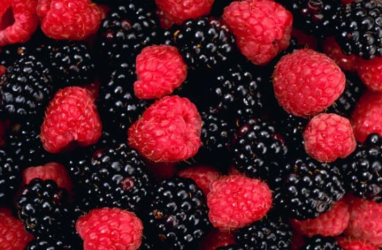 Panna Cotta with Berry Sauce