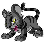 Shadoza Can Cook?