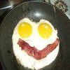 Eggface protein recipes