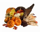 Vegetarian Thanksgiving Recipies