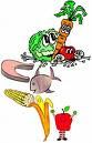 SAKOON HEALTHY FOODS COOKBOOK