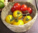Smart Eating: Modest Servings of Good Quality Food