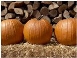 Fall Fiesta Recipes