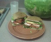 favorite cheddar sandwich