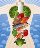 Suzi-Q's Healthy Food Picks
