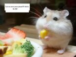 Yummy