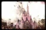 DisneyLou's cookbook
