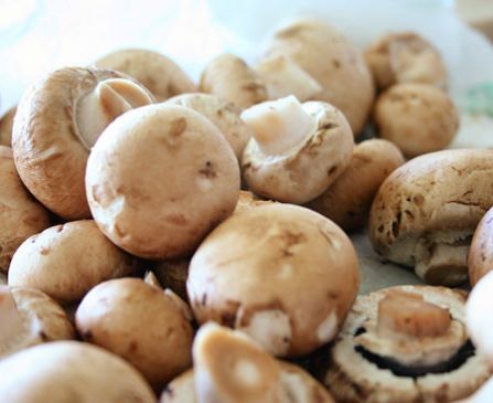 Red's Creamy Mushrooms