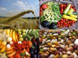 Whole Foods for Health