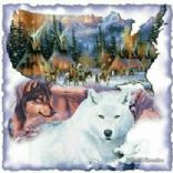 SquirrelWolfs Cooks