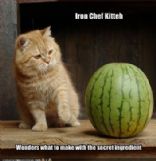 jammycatz in the kitchen