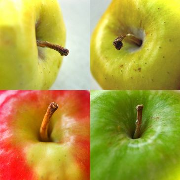Nikki's guilt free apple pie.