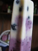 Lemonberry popsicles