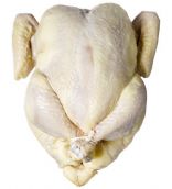Chicken, Chicken, and MORE Chicken!