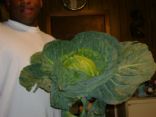MOUILLER'S COOKBOOK