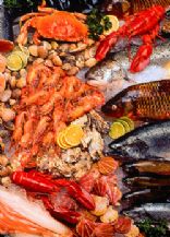 Seafood