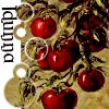 Airforcegrrl's Scrumptious Delights