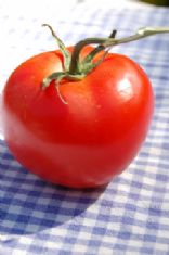 Shutrbug1's recipes