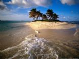 Caribbean Foods