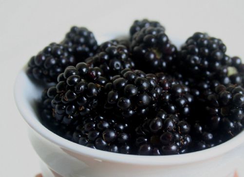 Image of New Fashioned Old-fashioned Blackberry Pudding, Spark Recipes